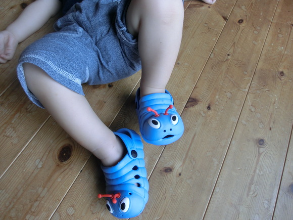 f0201157_00740.jpg
