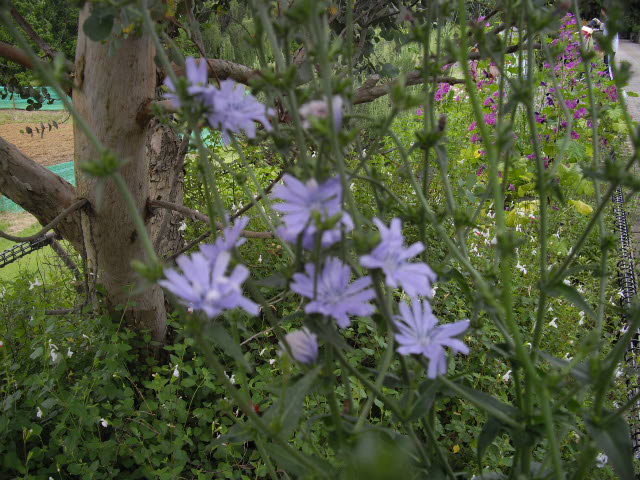 d0116059_1058998.jpg