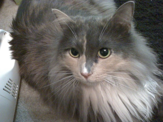 c0121264_151547.jpg