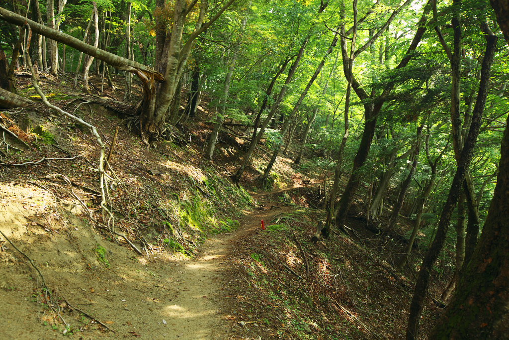 f0171065_22151056.jpg