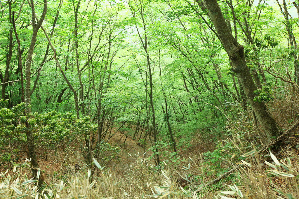 f0171065_22294846.jpg
