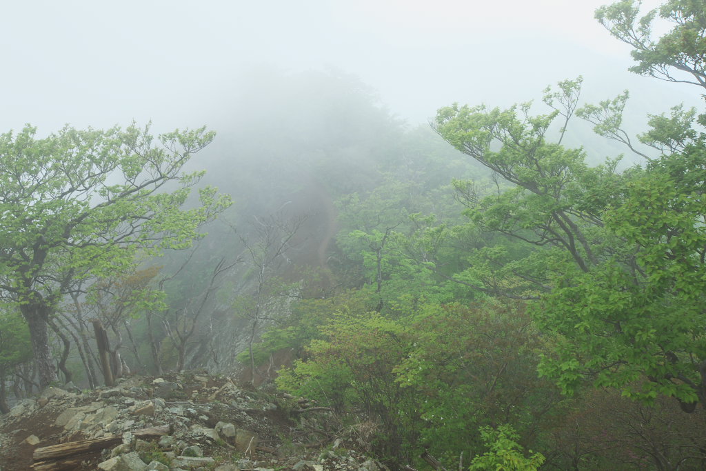 f0171065_22472010.jpg