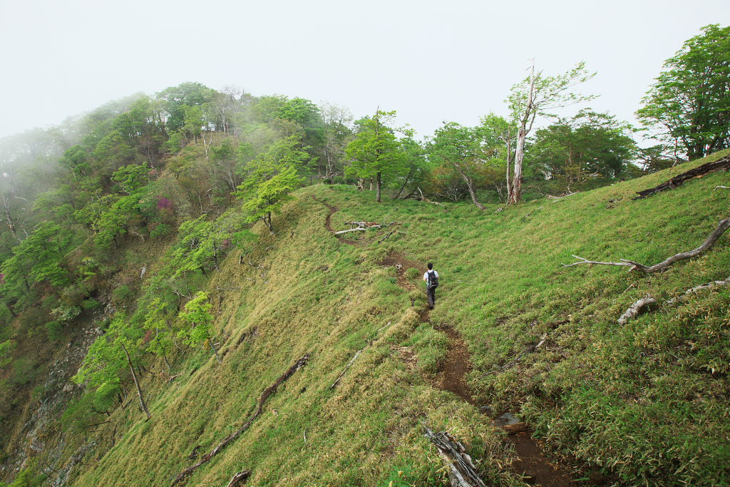 f0171065_22502630.jpg