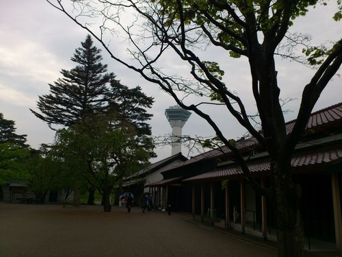 五稜郭公園から五稜郭タワー_b0106766_23501561.jpg