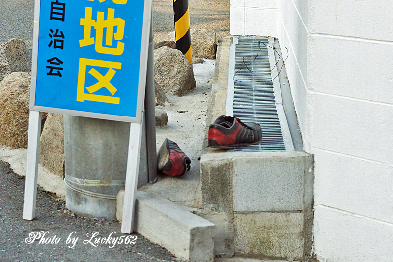 シグマ28-200をつけてお散歩写真_e0002371_2384270.jpg