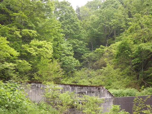 d0217072_1319212.jpg