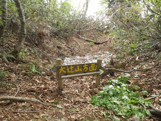 d0217072_13275289.jpg