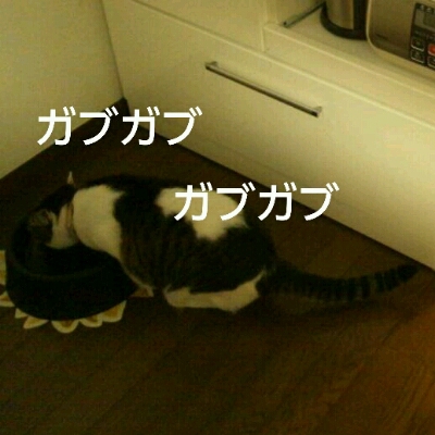 f0238772_161693.jpg