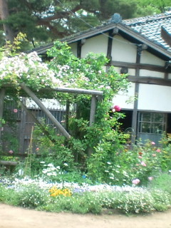 b0125384_167191.jpg