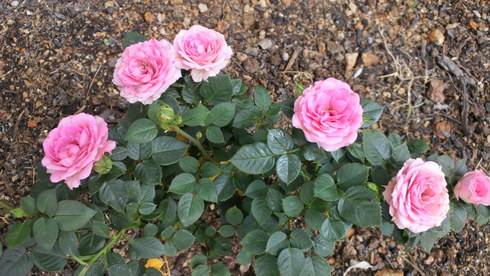 b0227193_93048100.jpg
