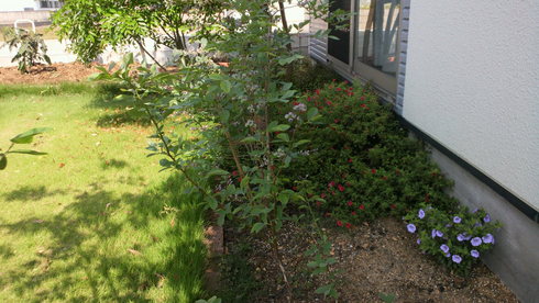 b0227193_9314398.jpg