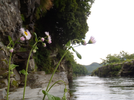 雨のち晴れ_b0225495_22564658.jpg