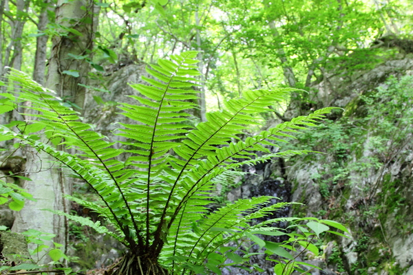 b0236595_13185685.jpg