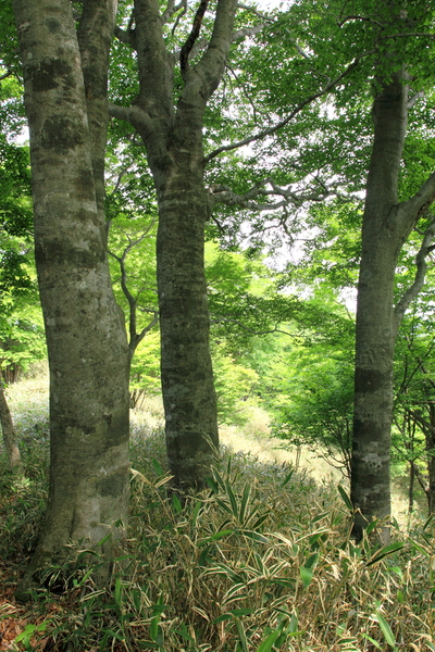b0236595_13195843.jpg