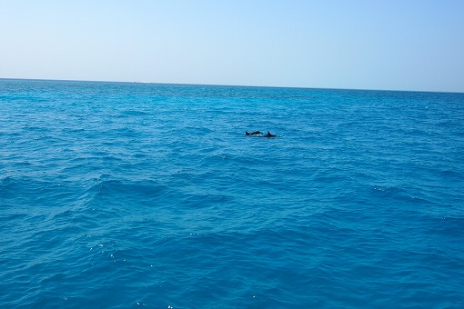 e0160595_16304376.jpg