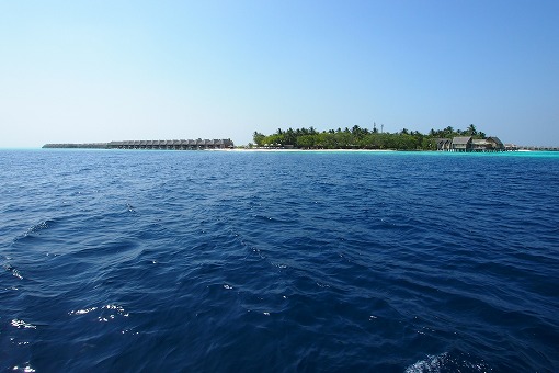 e0160595_1630957.jpg