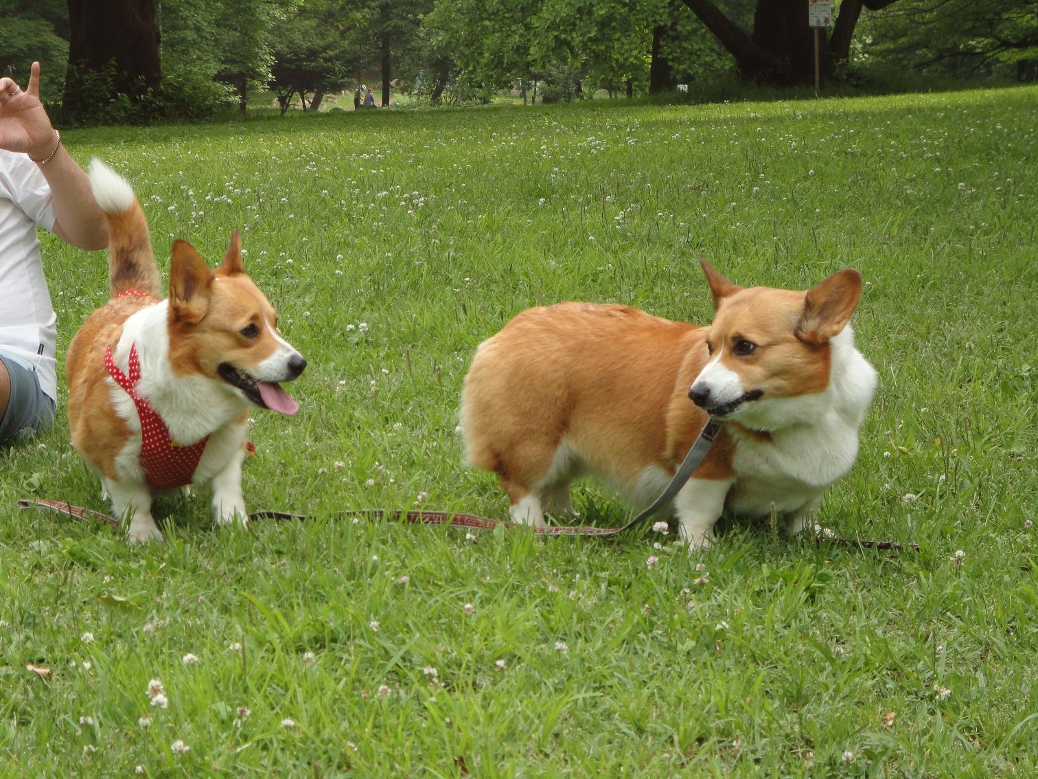 久しぶりの航空公園で_b0122401_2141545.jpg