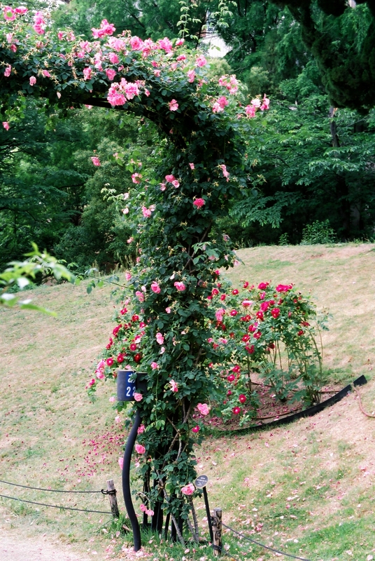 b0138101_20413225.jpg