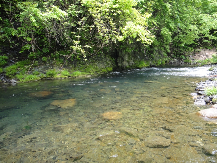 b0172805_1010040.jpg