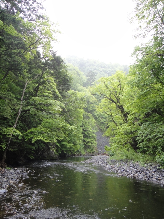 イワナの楽園・フライ釣師の楽園_b0172805_10142863.jpg