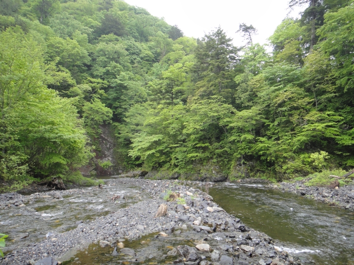 イワナの楽園・フライ釣師の楽園_b0172805_1081767.jpg