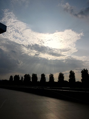 f0128409_17240.jpg