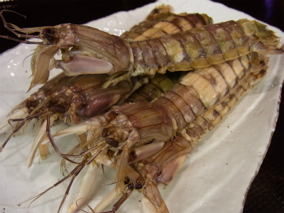 カツブシ入りシャコ_f0157910_1505476.jpg