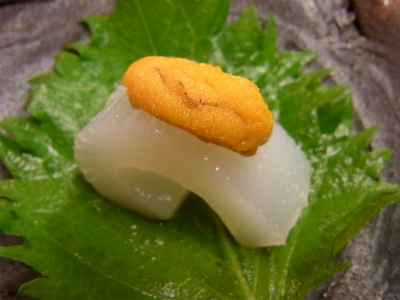 カツブシ入りシャコ_f0157910_15191558.jpg