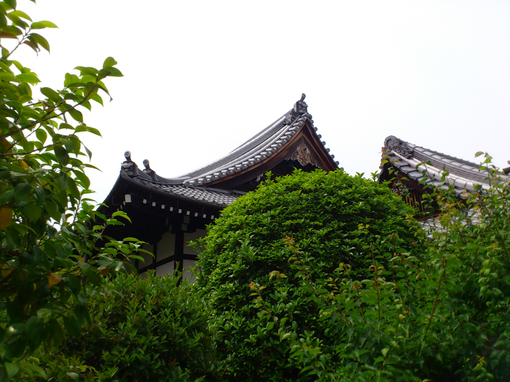c0004311_1353354.jpg