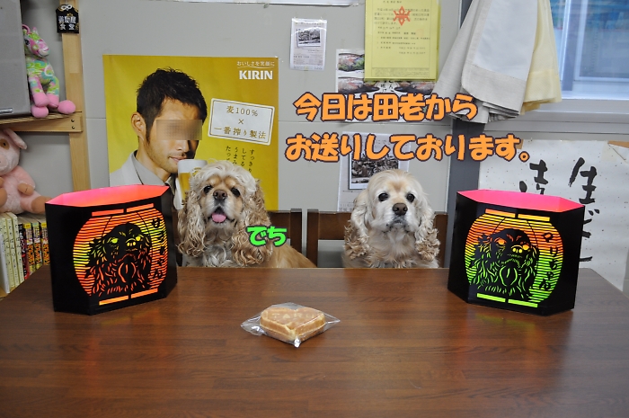 突然登場、ひめポチグルメリポーター_b0067012_23393723.jpg