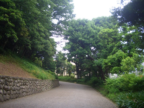 e0033713_1093818.jpg