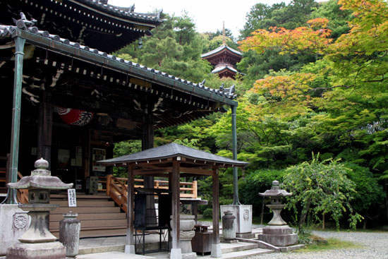 今熊野観音寺 みどりしたたる_e0048413_21212341.jpg