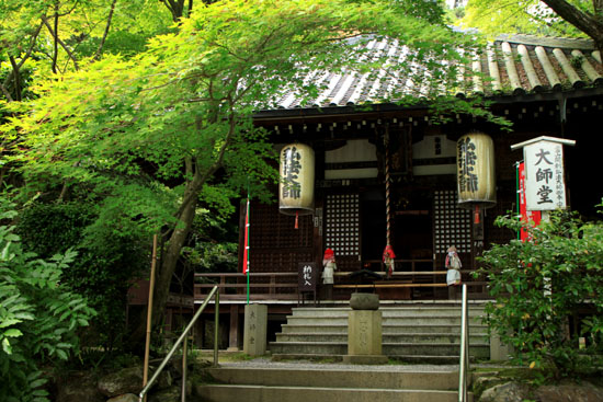今熊野観音寺 みどりしたたる_e0048413_2121333.jpg