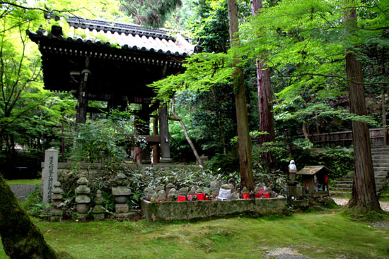 今熊野観音寺 みどりしたたる_e0048413_21214410.jpg