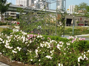 a0177314_9213684.jpg