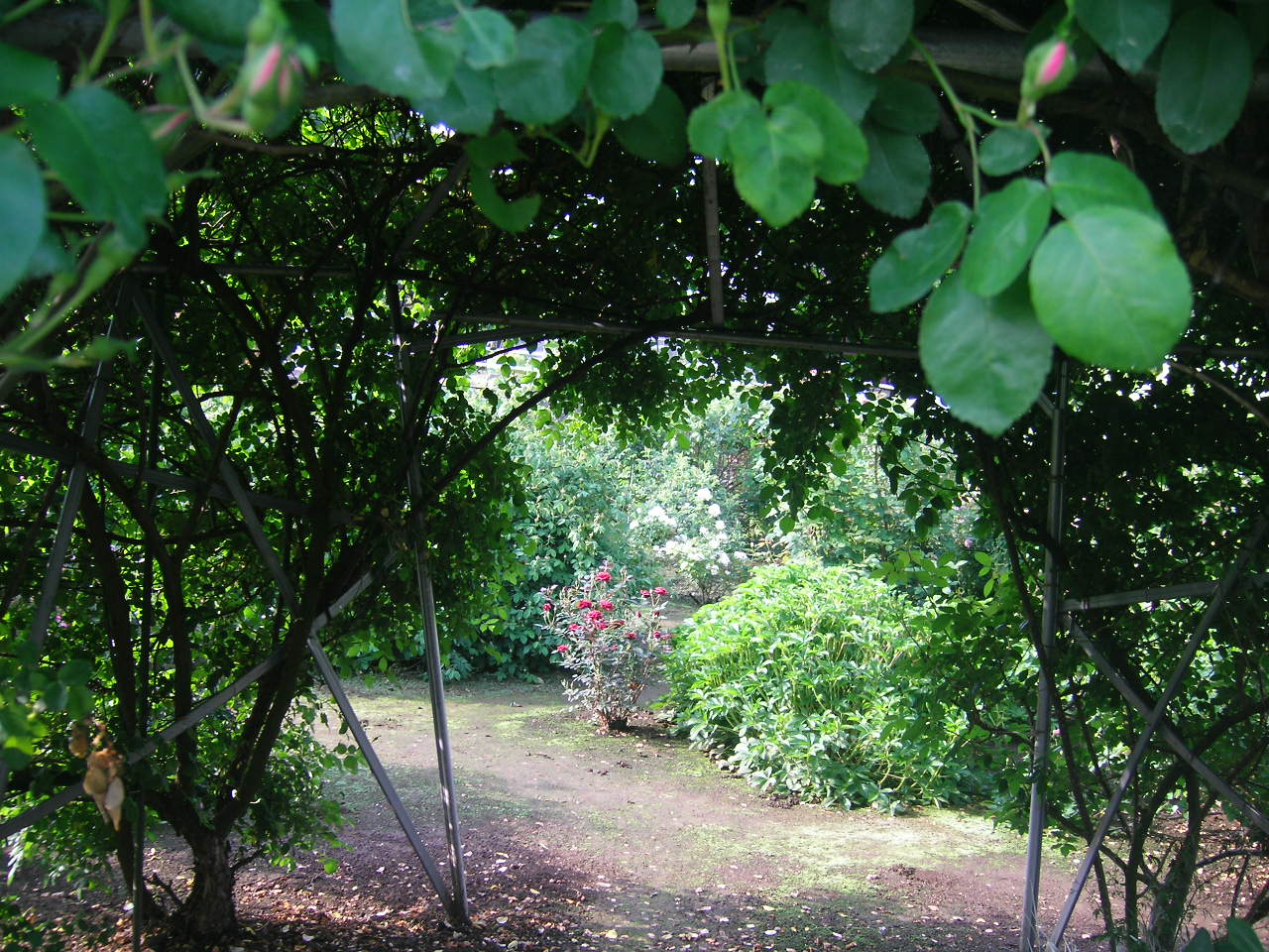 e0255117_8105139.jpg