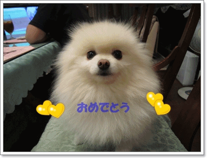 b0167519_910503.gif