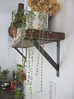 e0195721_8143749.jpg