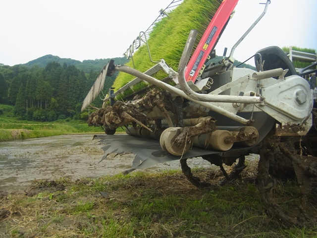 f0142721_12939.jpg