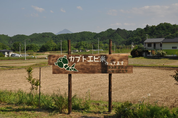 b0086228_16391970.jpg