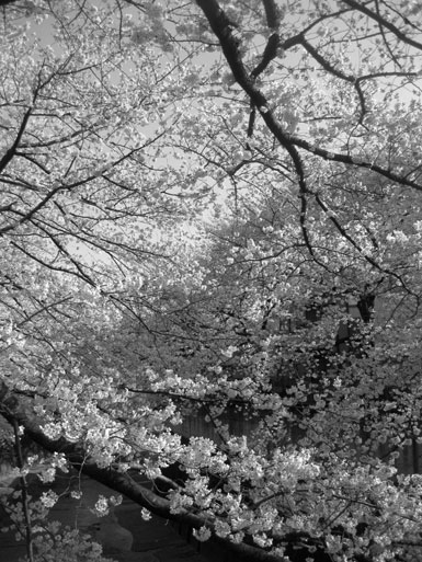 20120415.jpg