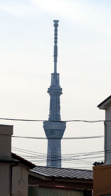 c0117831_20305258.jpg