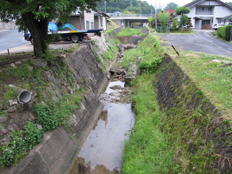 「綺麗な花には棘がある」_f0076731_17124620.jpg
