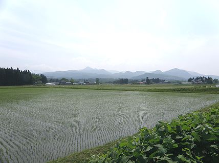 d0101042_22144626.jpg