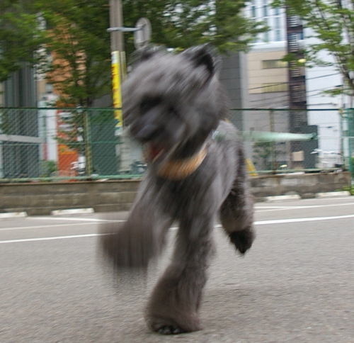 d0026745_18523871.jpg