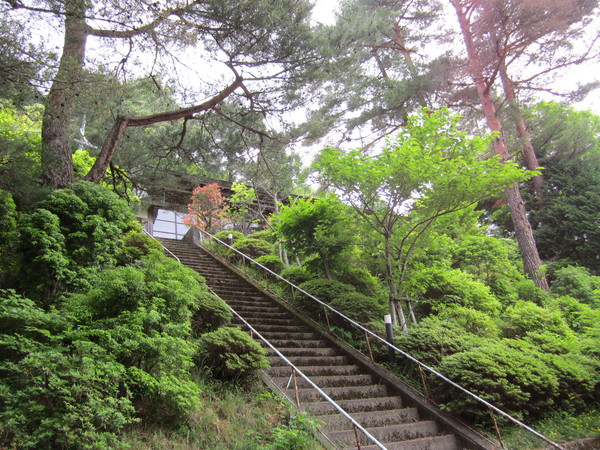 朝から　千早城址と山の家へ　行きました。_b0132746_2201814.jpg