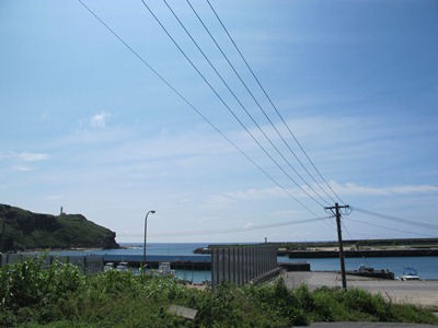 6月 7日 職人とモンステラ☆_b0158746_17114278.jpg