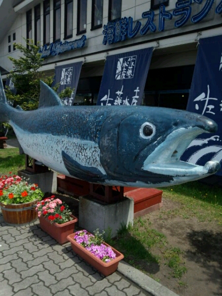 c0235348_5381020.jpg