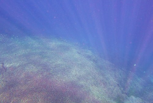 Japanese Ship Wreck Dive / Snokeling Site @ Banyunung, Amed (\'12年5月)_a0074049_1204251.jpg