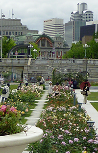 f0190950_9159.jpg
